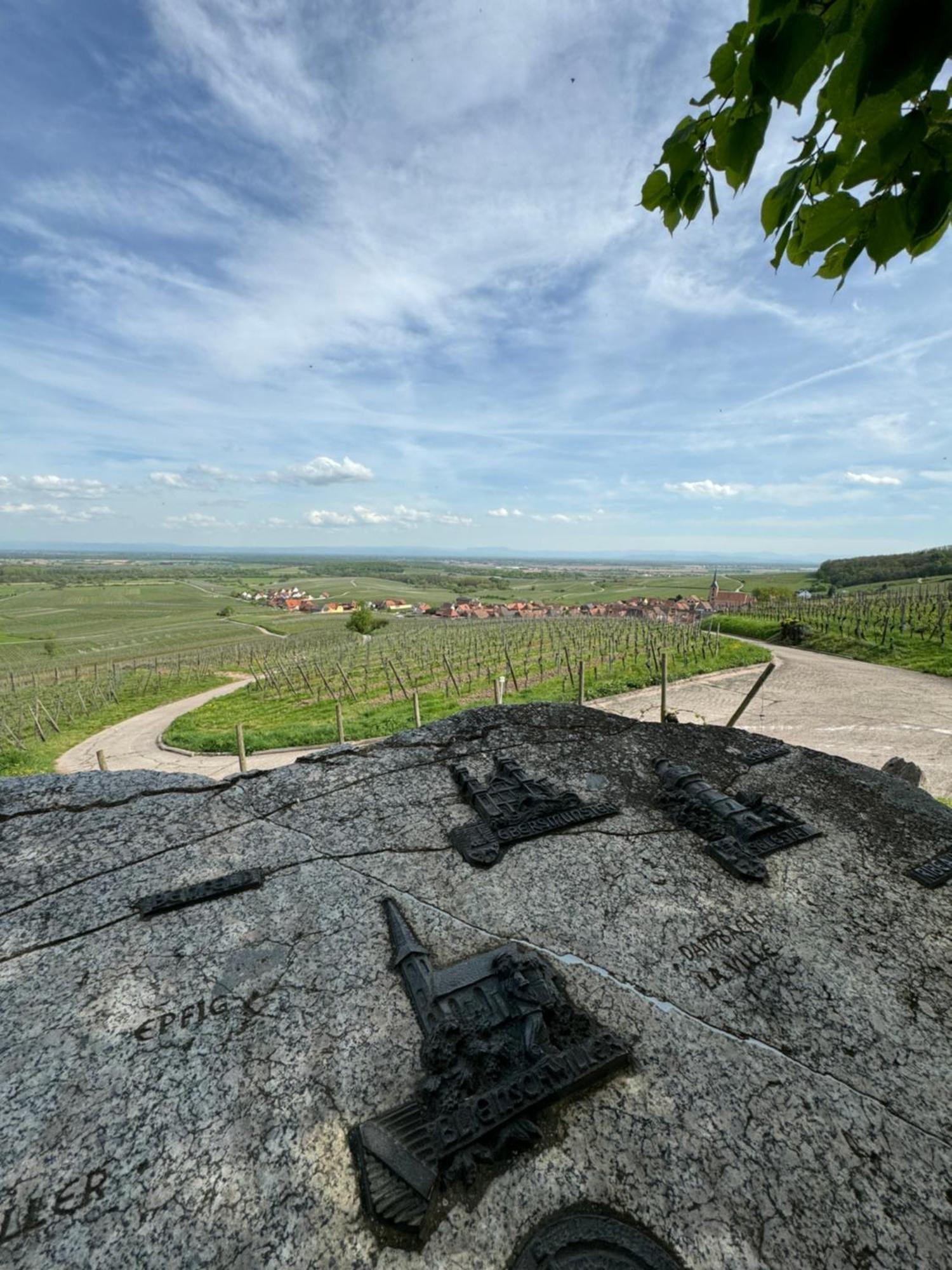 La Terasse Des Vignes - Maison 2 Chambres - 4 Personnes Blienschwiller Екстер'єр фото